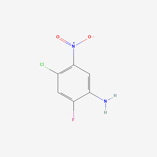 4-CHLORO-2-FLUORO-5-NITROANILINE (CAS: 86988-02-5) - Related Chemical Product