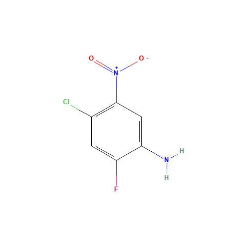 4-CHLORO-2-FLUORO-5-NITROANILINE (CAS: 86988-02-5) - Related Chemical Product