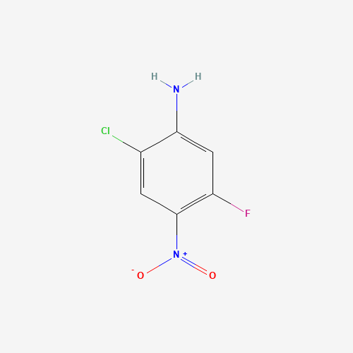 2-CHLORO-5-FLUORO-4-NITROANILINE (CAS: 517920-71-7) - Related Chemical Product