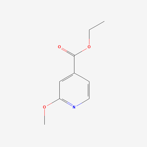 Ethyl 2-methoxyisonicotinate (CAS: 105596-61-0) - Related Chemical Product
