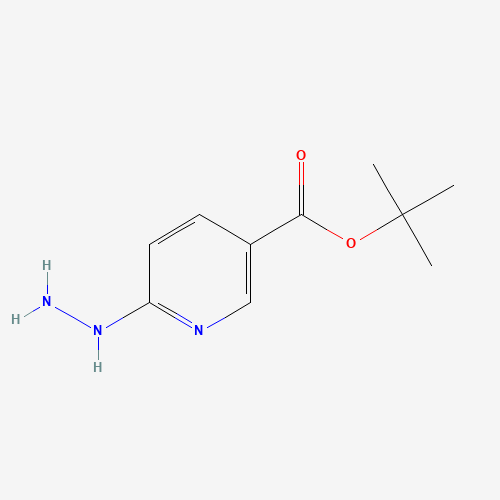 2-Methyl-2-propanyl 6-hydrazinonicotinate (CAS: 163213-19-2) - Related Chemical Product