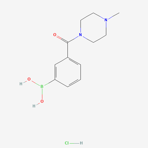 {3-[(4-Methyl-1-piperazinyl)carbonyl]phenyl}boronic acid hydrochloride (1:1) (CAS: 957060-92-3) - Related Chemical Product