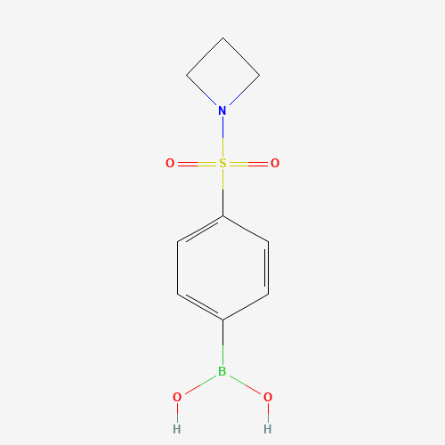 [4-(1-Azetidinylsulfonyl)phenyl]boronic acid (CAS: 871329-68-9) - Related Chemical Product