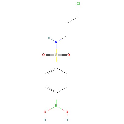 {4-[(3-Chloropropyl)sulfamoyl]phenyl}boronic acid (CAS: 874219-48-4) - Related Chemical Product