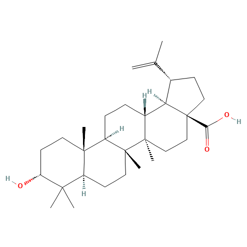 3-epi-betulinic acid (CAS: 38736-77-5) - Related Chemical Product