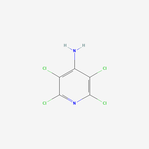 4-pyridinamine, 2,3,5,6-tetrachloro- (CAS: 2176-63-8) - Related Chemical Product