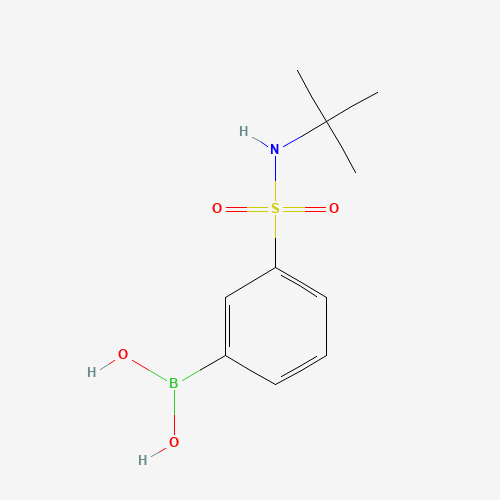 {3-[(2-Methyl-2-propanyl)sulfamoyl]phenyl}boronic acid (CAS: 221290-14-8) - Chemical Structure and Molecular Formula 