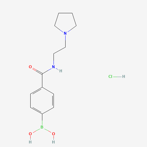 (4-{[2-(1-Pyrrolidinyl)ethyl]carbamoyl}phenyl)boronic acid hydrochloride (1:1) (CAS: 957060-70-7) - Related Chemical Product