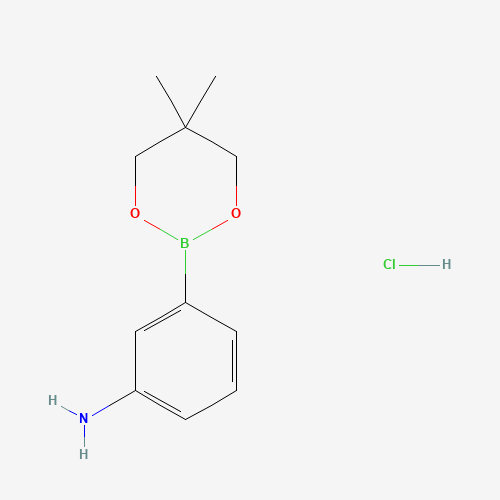 3-(5,5-Dimethyl-1,3,2-dioxaborinan-2-yl)aniline hydrochloride (1:1) (CAS: 850567-43-0) - Related Chemical Product