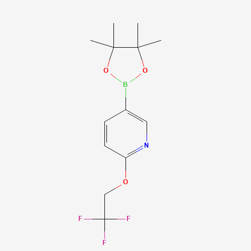 6-(2,2,2-trifluoroethoxy)pyridine-3-boronic acid pinacol ester (CAS: 1268467-17-9) - Related Chemical Product
