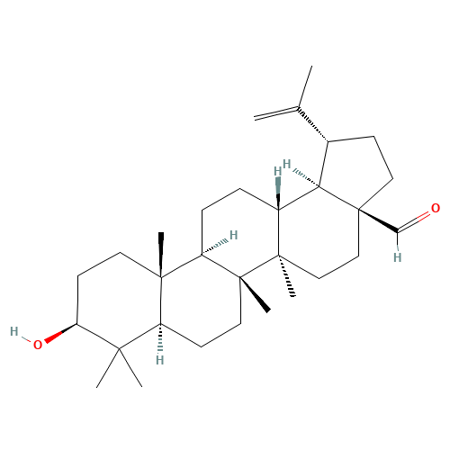 (3b)-3-Hydroxylup-20(29)-en-28-al (CAS: 13159-28-9) - Related Chemical Product