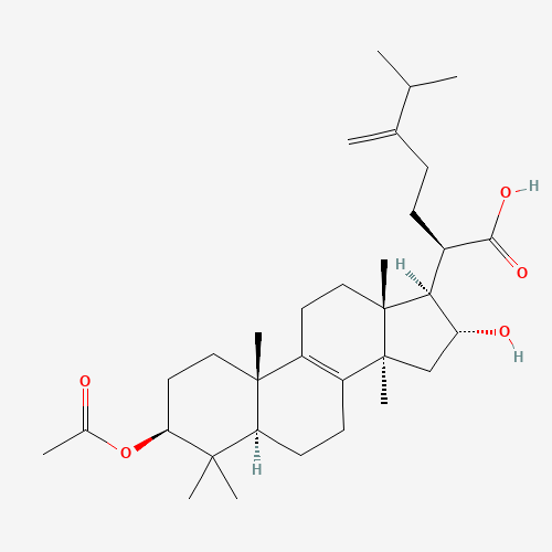 3-Acetoxy-16-hydroxy-24-methylenelanost-8-en-21-oic acid (CAS: 29070-92-6) - Related Chemical Product
