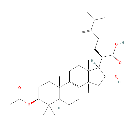 3-Acetoxy-16-hydroxy-24-methylenelanost-8-en-21-oic acid (CAS: 29070-92-6) - Related Chemical Product