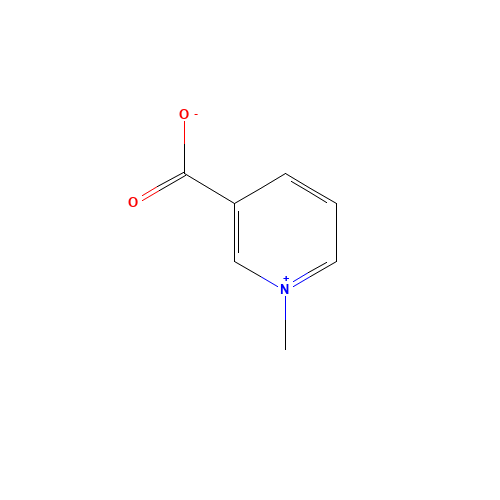 Trigonelline (CAS: 535-83-1) - Related Chemical Product