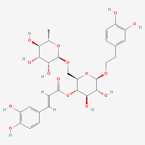 2-(3,4-Dihydroxyphenyl)ethyl 6-O-(6-deoxy-a-L-mannopyranosyl)-4-O-[(2E)-3-(3,4-dihydroxyphenyl)-2-propenoyl]-b-D-glucopyranoside (CAS: 79916-77-1) - Related Chemical Product