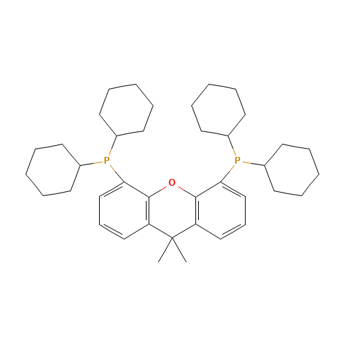 (9,9-Dimethyl-9H-xanthene-4,5-diyl)bis(dicyclohexylphosphine) (CAS: 940934-47-4) - Related Chemical Product