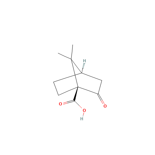 (1S)-7,7-Dimethyl-2-oxobicyclo[2.2.1]heptane-1-carboxylic acid (CAS: 40724-67-2) - Related Chemical Product