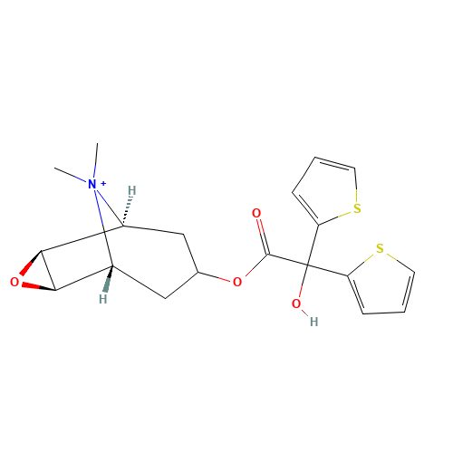 (1S,2R,4S,5S,7R)-7-[2-Hydroxy(di-2-thienyl)acetoxy]-9,9-dimethyl-3-oxa-9-azoniatricyclo[3.3.1.02,4]nonane bromide (CAS: 186691-13-4) - Related Chemical Product