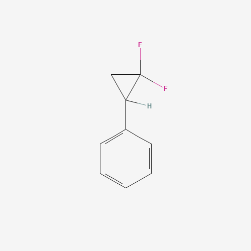 (2,2-Difluorocyclopropyl)benzene (CAS: 13343-40-3) - Related Chemical Product