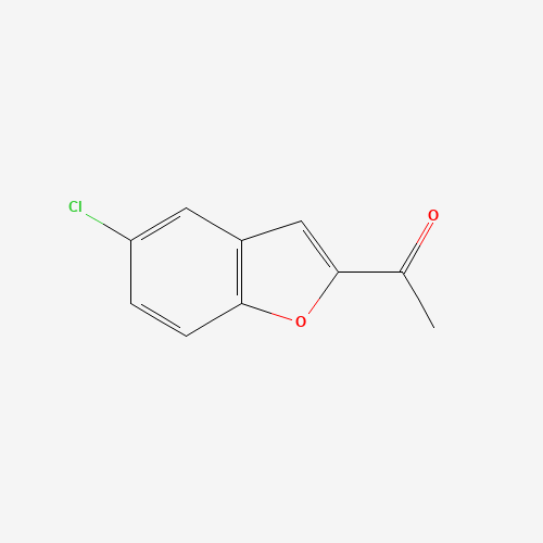 1-(5-chloro-1-benzofuran-2-yl)ethanone (CAS: 1646-32-8) - Related Chemical Product