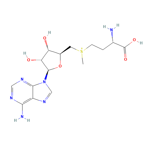 2-Amino-4-[{[5-(6-amino-9H-purin-9-yl)-3,4-dihydroxytetrahydro-2-furanyl]methyl}(methyl)sulfonio]butanoate (non-preferred name) (CAS: 485-80-3) - Related Chemical Product