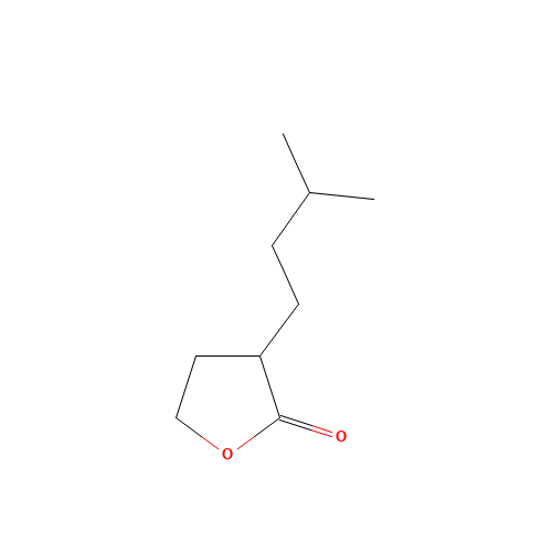 3-(3-Methylbutyl)dihydrofuran-2(3H)-one (CAS: 40541-41-1) - Related Chemical Product