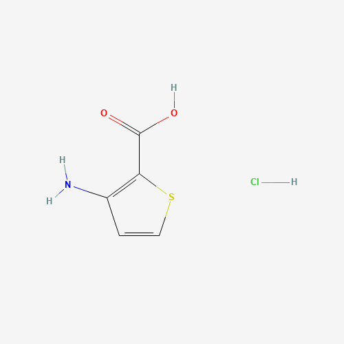 3-Aminothiophene-2-carboxylic acid hydrochloride (CAS: 1016552-72-9) - Related Chemical Product
