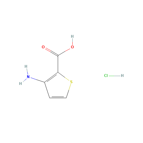 3-Aminothiophene-2-carboxylic acid hydrochloride (CAS: 1016552-72-9) - Related Chemical Product