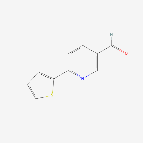 6-(2-Thienyl)nicotinaldehyde (CAS: 834884-61-6) - Related Chemical Product