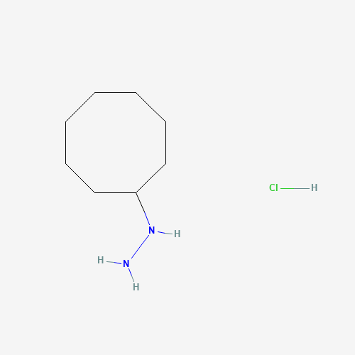 cyclooctylhydrazine hydrochloride (CAS: 92379-99-2) - Chemical Structure and Molecular Formula 