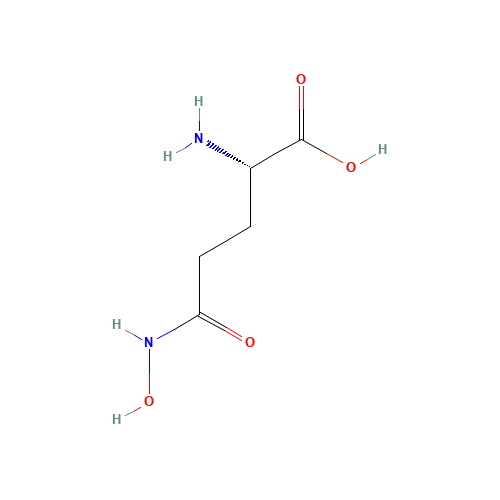 N2-Hydroxy-L-glutamine (CAS: 1955-67-5) - Related Chemical Product