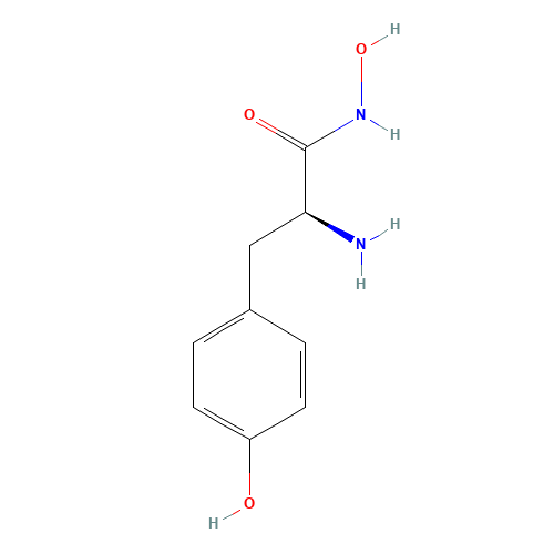 N-hydroxy-L-tyrosinamide (CAS: 4985-42-6) - Related Chemical Product