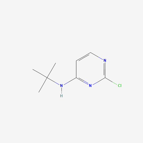 N-tert-Butyl-2-chloropyrimidin-4-amine (CAS: 876521-19-6) - Related Chemical Product