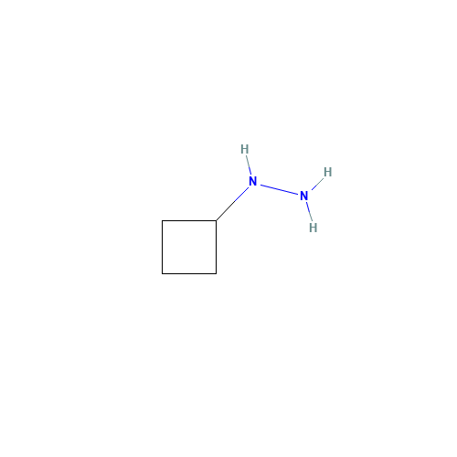 Cyclobutylhydrazine hydrochloride (1:1) (CAS: 742673-64-9) - Related Chemical Product