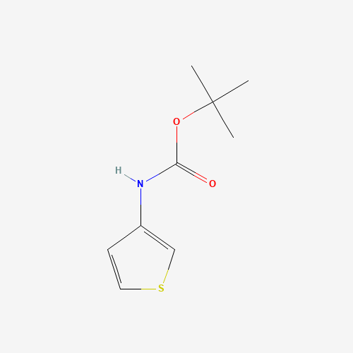 tert-Butyl 3-thienylcarbamate (CAS: 19228-91-2) - Related Chemical Product