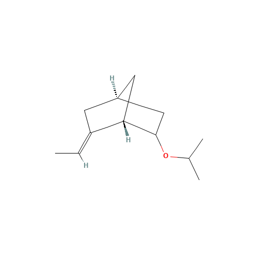 BICYCLO [2.2.1] HEPTANE, 2-ETHYLIDENE-6-ISOPROPOXY (CAS: 90530-04-4) - Related Chemical Product