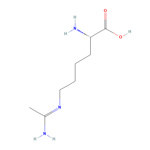 N-(5-AMINO-5-CARBOXYPENTYL)-ACETAMIDINE (CAS: 53774-63-3) - Chemical Structure and Molecular Formula 