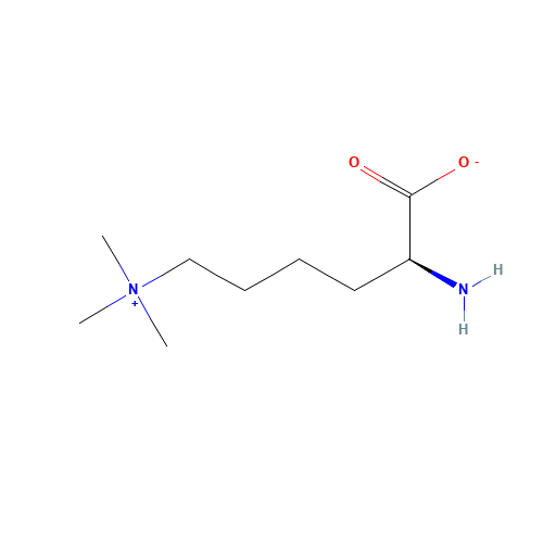 N-EPSILON,N-EPSILON,N-EPSILON-TRIMETHYLLYSINE (CAS: 23284-33-5) - Related Chemical Product