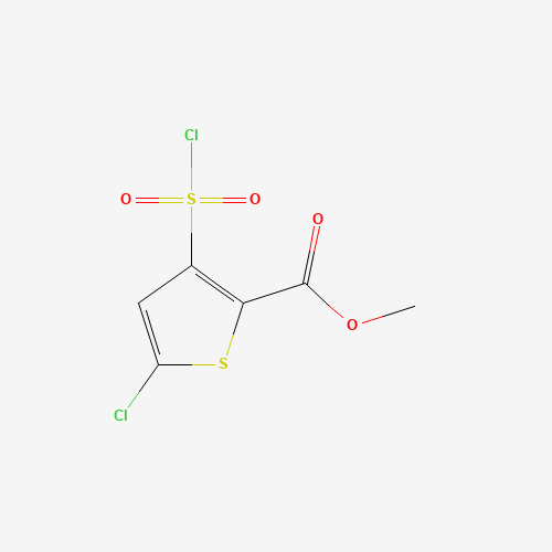 methyl 5-chloro-3-chlorosuphonylthiophene-2-carboxylate (CAS: 158439-31-7) - Related Chemical Product
