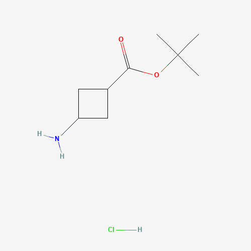 cis-tert-butyl 3-aMinocyclobutanecarboxylate hydrochloride (CAS: 1192549-09-9) - Related Chemical Product