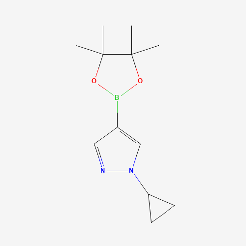 1-Cyclopropyl-4-(4,4,5,5-tetraMethyl-1,3,2-dioxaborolan-2-yl)-1H-pyrazole (CAS: 1151802-22-0) - Related Chemical Product