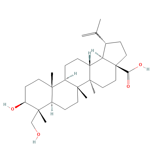 23-HYDROXYBETULINIC ACID (CAS: 85999-40-2) - Related Chemical Product