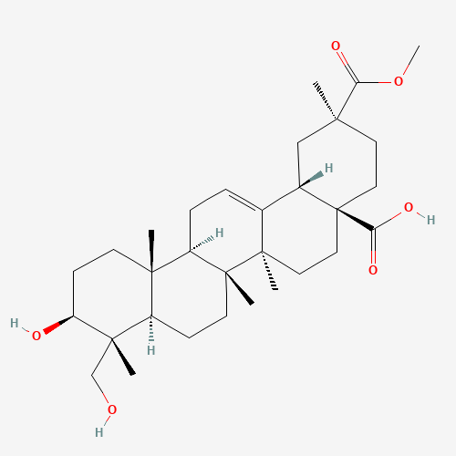 Phytolaccagenic acid (CAS: 54928-05-1) - Related Chemical Product