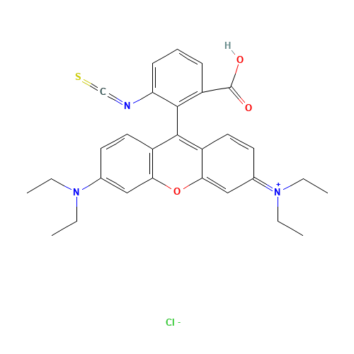 RHODAMINE B ISOTHIOCYANATE (CAS: 36877-69-7) - Related Chemical Product