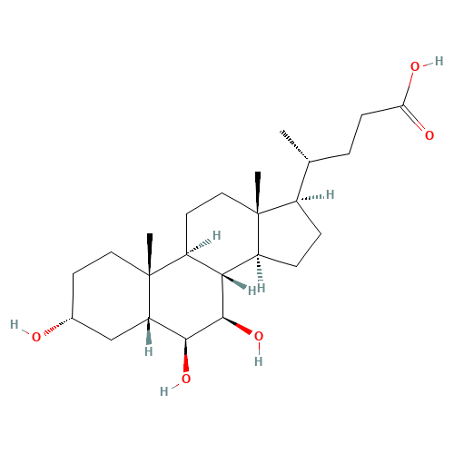 beta-muricholic acid (CAS: 2393-59-1) - Related Chemical Product