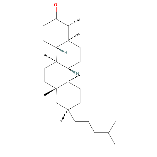 Shionone (CAS: 10376-48-4) - Related Chemical Product