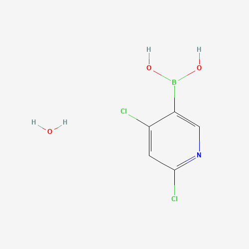2,4-Dichloropyridine-5-boronic acid hydrate (CAS: 1072952-26-1) - Related Chemical Product