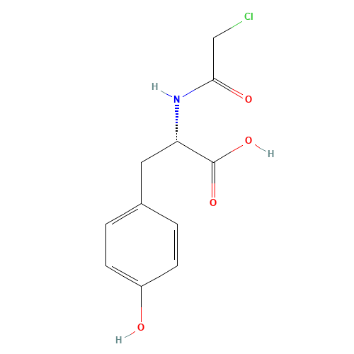 N-Chloroacetyl-L-tyrosine (CAS: 1145-56-8) - Related Chemical Product