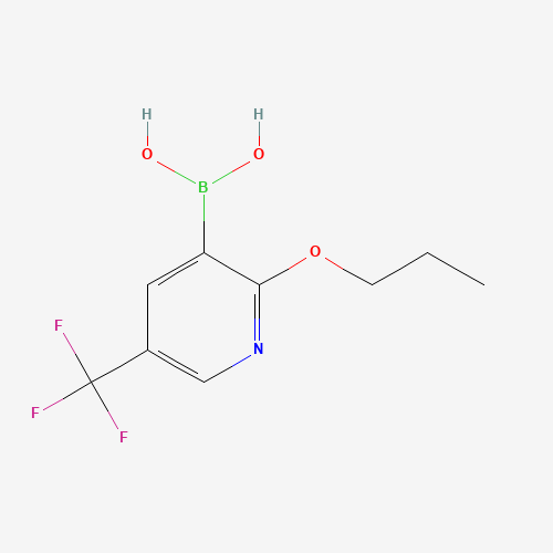 2-PROPOXY-5-(TRIFLUOROMETHYL)PYRIDINE-3-BORONIC ACID (CAS: 1218790-63-6) - Related Chemical Product