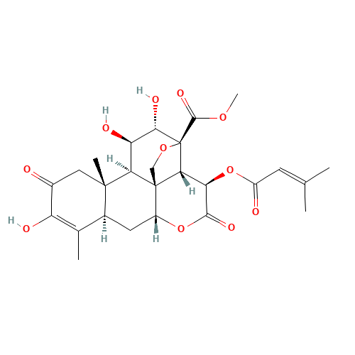 Brusatol (CAS: 14907-98-3) - Related Chemical Product
